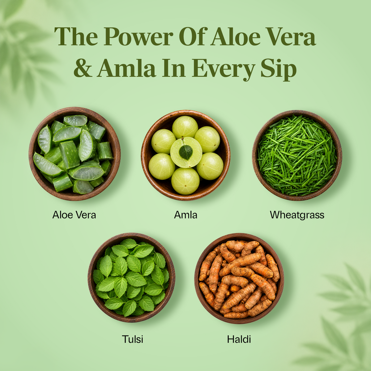 Aloe Amala Plus Juice