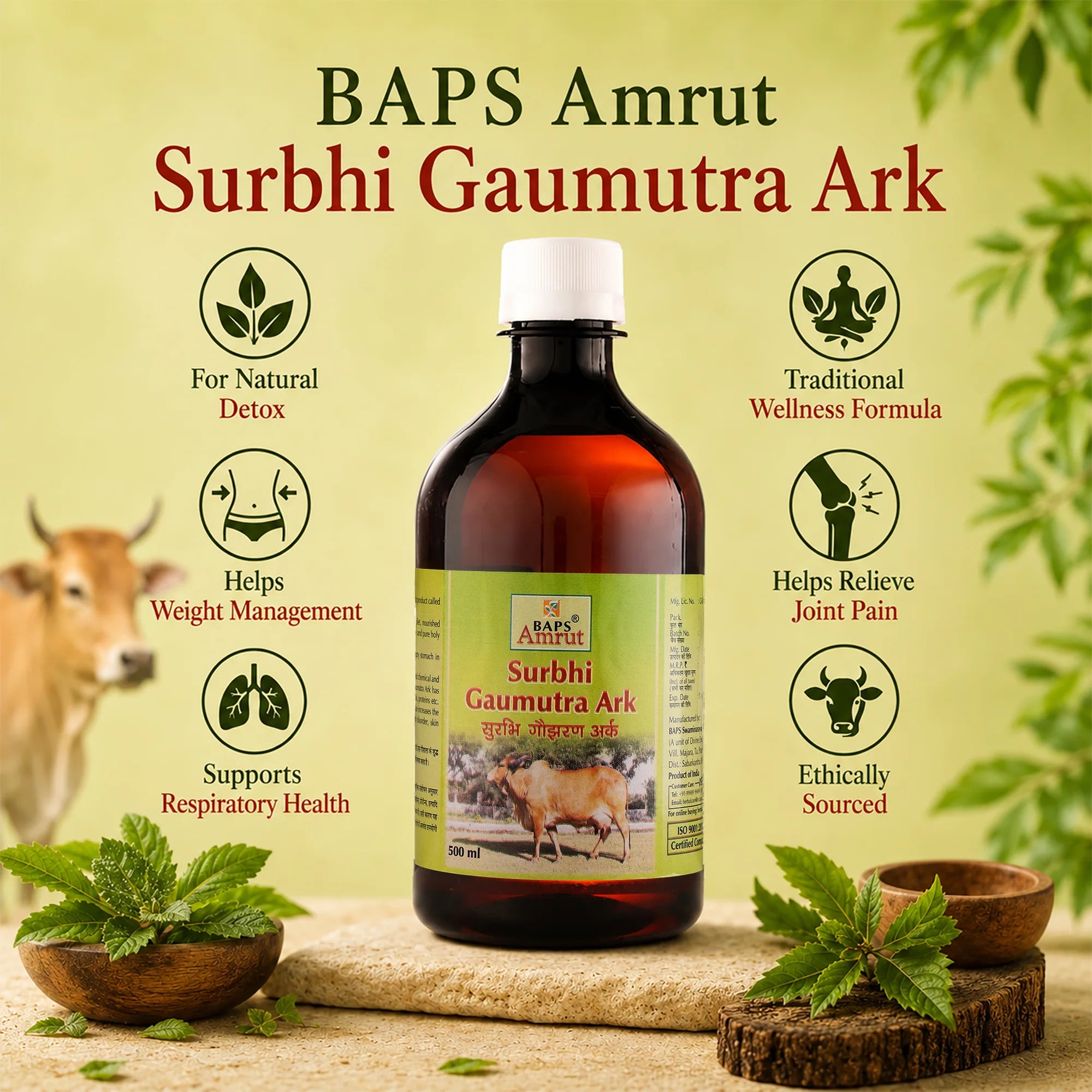 Surbhi Gaumutra Ark