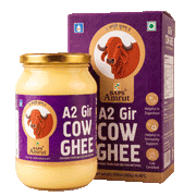 A2 Gir Cow Ghee